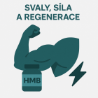 Svaly, síla, regenerace
