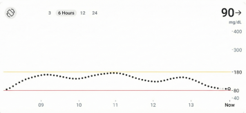Data z CGM triatlonisty s diabetem 1. typu během Half Ironmanu